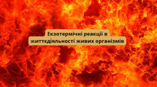 Екзотермічні реакції вжиттєдіяльності живих організмів
