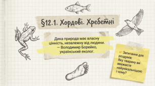 Хордові. Хребетні. 7 клас НУШ.