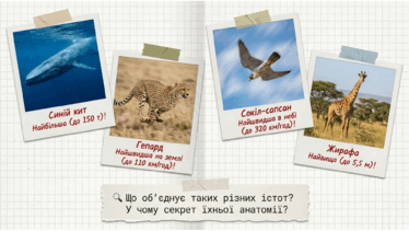 0901pa1u-3cbf-374x211.png