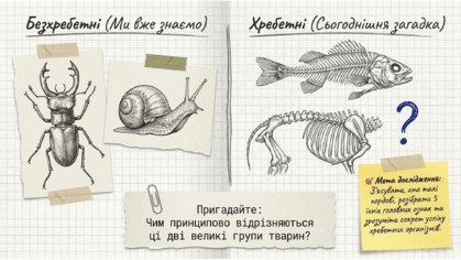 0901pa2c-23bd-419x236.png