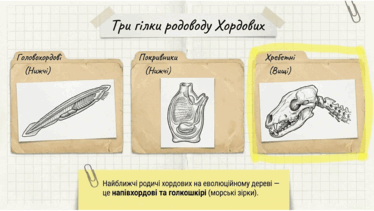 0901pa3i-e23b-374x211.png
