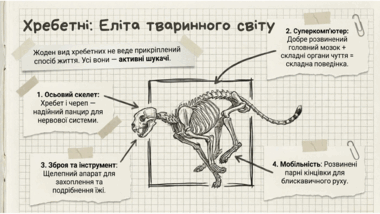 0901pa3r-0172-380x214.png