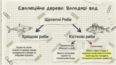 0901pa40-366b-382x215.png