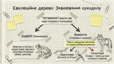 0901pa46-981d-400x225.png
