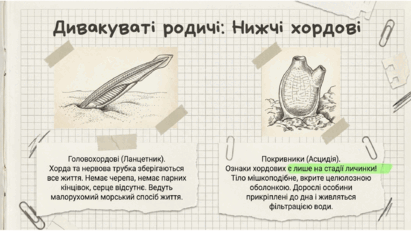 0901pa7j-1e7e-411x231.png