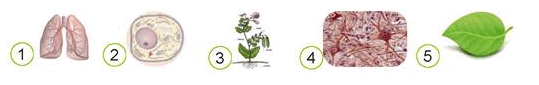 0901pe7n-cabb-539x85.png