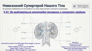 § 57. Як виділяються непотрібні речовини з організму людини
