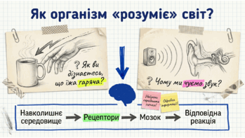 0901pexb-c919-385x217.png