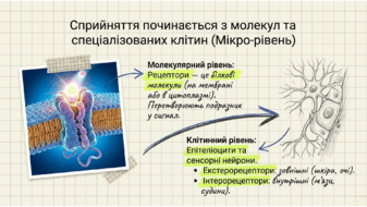 0901pexj-44c1-375x211.png