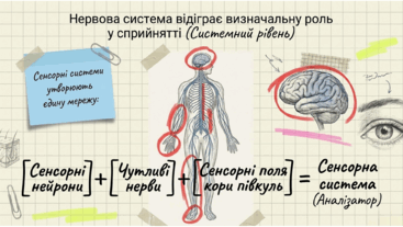 0901pexq-42a9-396x223.png