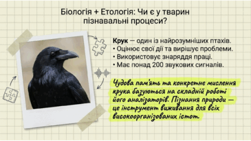 0901pey5-a1cf-386x218.png