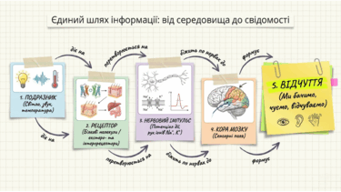 0901peya-a625-416x234.png