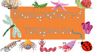 Хто такі безхребетні тварини (правда/неправда)