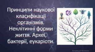 Природничі науки. 10 клас. Презентація до уроку: Принципи наукової класифікації організмів. Неклітинні форми життя. Археї, бактерії, еукаріоти.