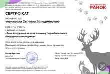  Сертифікат