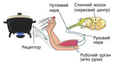 0901pi0h-1a91-395x226.jpg