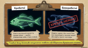 Світ безхребетних: класифікація та особливості будови