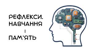 Презентація : "Рефлекси. Навчання і пам’ять" біологія 8 клас НУШ
