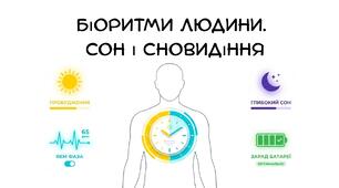 Презентація: "Біоритми людини. Сон і сновидіння" біологія 8 клас НУШ