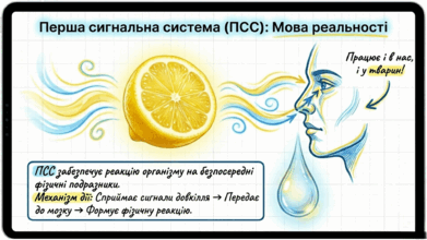 0901pk1p-4a1a-391x220.png