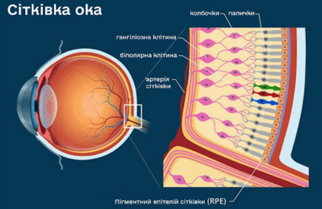 0901pk7b-3da0-643x418.png