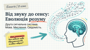 Друга сигнальна система. Мова. Фізіологічна основа мовлення. Мислення. Свідомість
