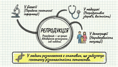 0901pktl-b398-392x221.png