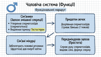 0901pku6-494d-399x225.png