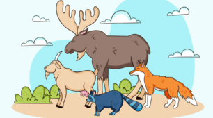 Матеріали до уроку. 🦁🐺🐘🦒🐄🐎🐒Різноманітність ссавців. Плацентарні ссавці: хижі, парнокопитні, непарнокопитні, хоботні, примати. 7 кл НУШ