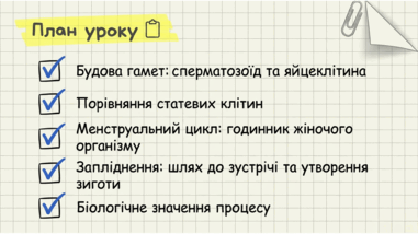 0901pmki-a489-381x214.png