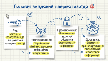 0901pml2-89d0-371x209.png