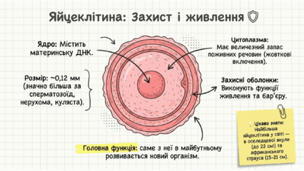 0901pml7-8abb-426x240.png