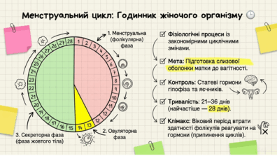 0901pmld-6463-396x223.png