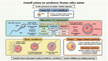 0901pmly-aac7-363x205.png