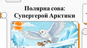 Біла сова: величний володар Арктики