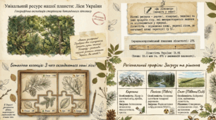 Лісові ресурси.  Ресурси Світового океану