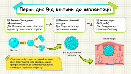0901ppn3-744e-429x242.png