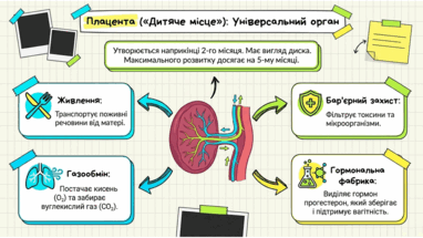 0901ppn9-a17c-382x215.png
