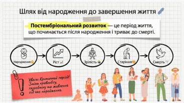 0901ppy8-420e-367x207.png