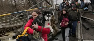 Це була дорога жаху, нема слів, щоб описати"