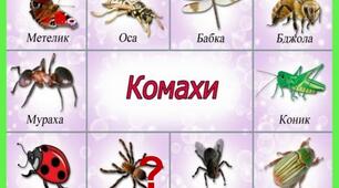 "Комахи" Тести 7 клас 