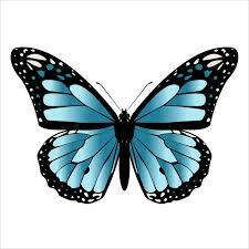 0901prh5-30bf-225x225.jpg