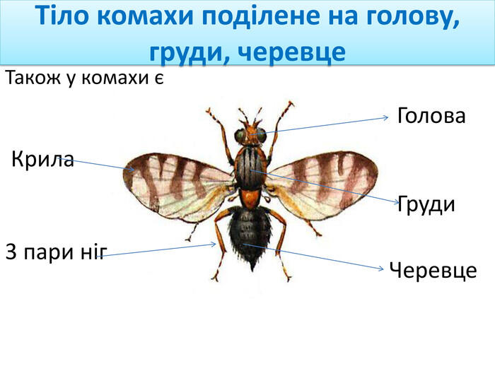 0901prvs-5482-700x525.jpg