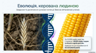 Презентація "Завдання та досягнення сучасної селекції. Внесок вітчизняних учених-селекціонерів"