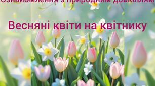 Ознайомлення з природним довкіллям."Весняні квіти на квітнику"