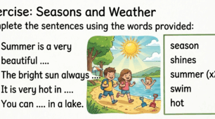 Картки для вивчення Seasons
