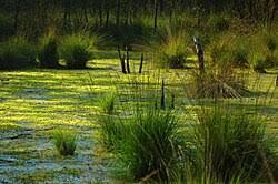 0901pv00-acd2-250x166.jpg