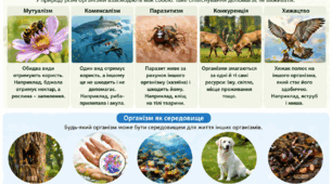 Як організми співіснують у середовищі. Організм як середовище.