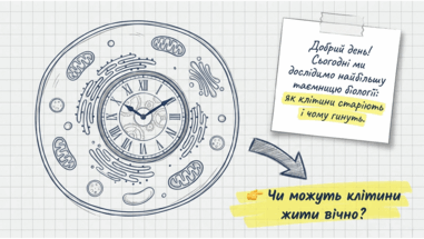 0901pvim-2e77-381x215.png