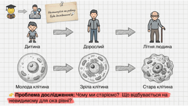0901pviu-02b1-383x216.png